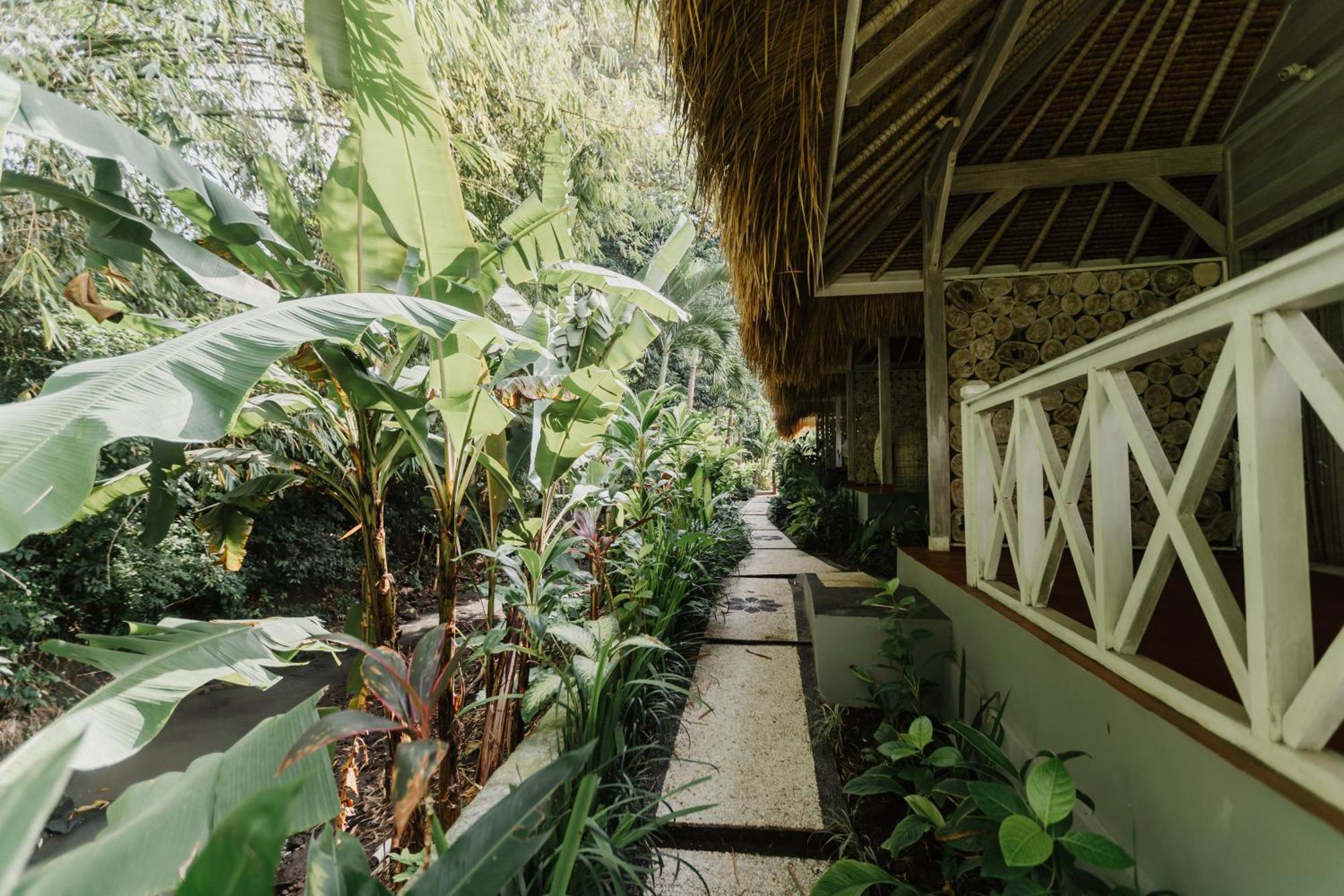 Maylie Bali Villa & Bungalows Canggu Екстериор снимка